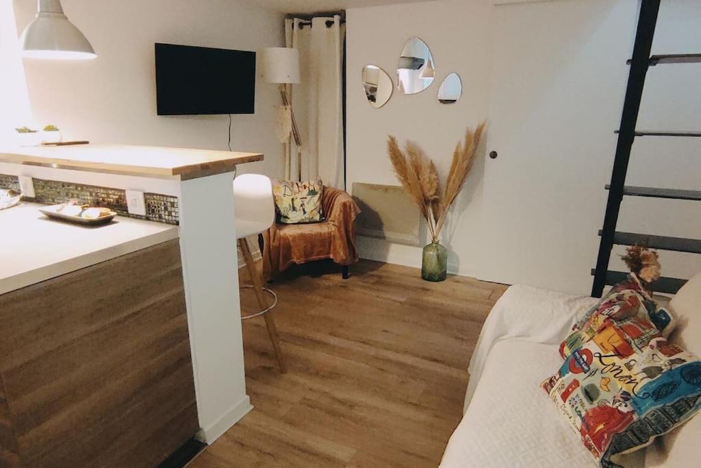 Appartement Le Cocon De Rose *